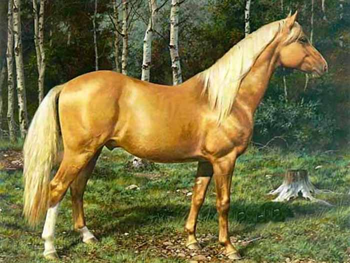 考古学家认为家马的野生祖先主要分布于欧亚草原的西端