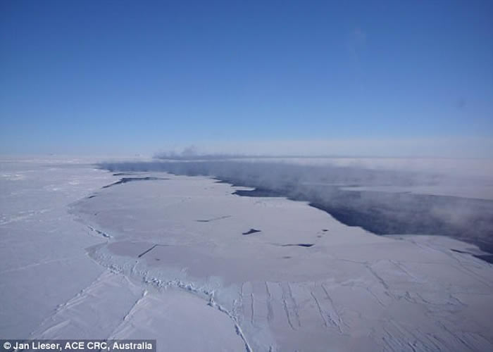 冰间湖是为极圈内的特殊现象。