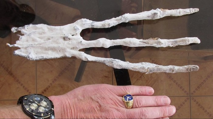 秘鲁考古学家再纳斯卡洞穴发现5具千年干尸 竟然各只有3只手指与3只脚趾
