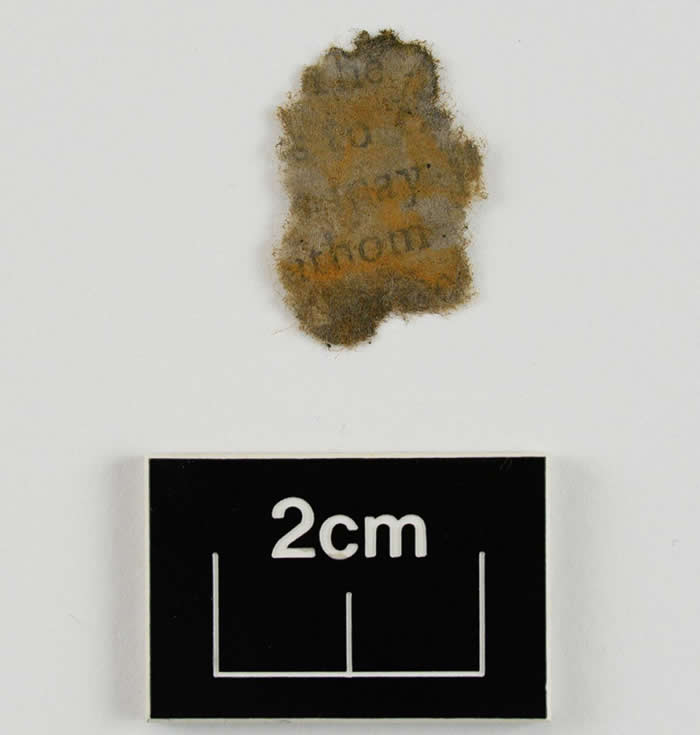 一片从炮膛取出的纸片经过清理与干燥后显出文字。 PHOTOGRAPH COURTESY N.C. DEPARTMENT OF NATURAL AND CULTU