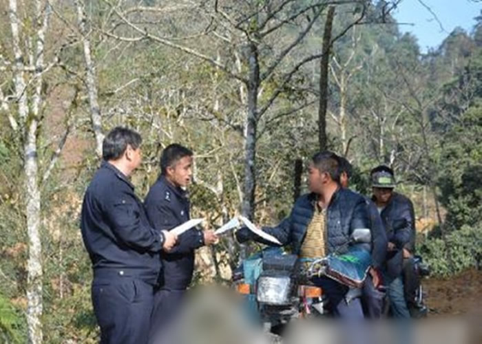 自然保护区的工作人员向民众发放伯乐树宣传画册。