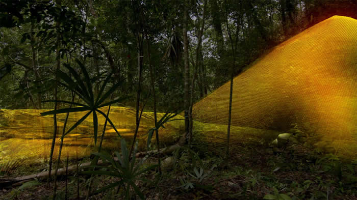 肉眼只能看见丛林及植被茂密的土丘，但光达​​与扩增实境软体显示出一座古玛雅金字塔。 COURTESY WILD BLUE MEDIA/N