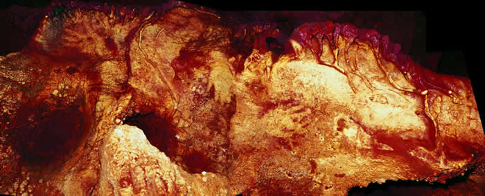 西班牙另一处洞穴墙上以手印出的图案，这些手印的年代至少有6万6000年以上，强烈暗示创作者是尼安德特人。 PHOTOGRAPH BY H. COLLADO