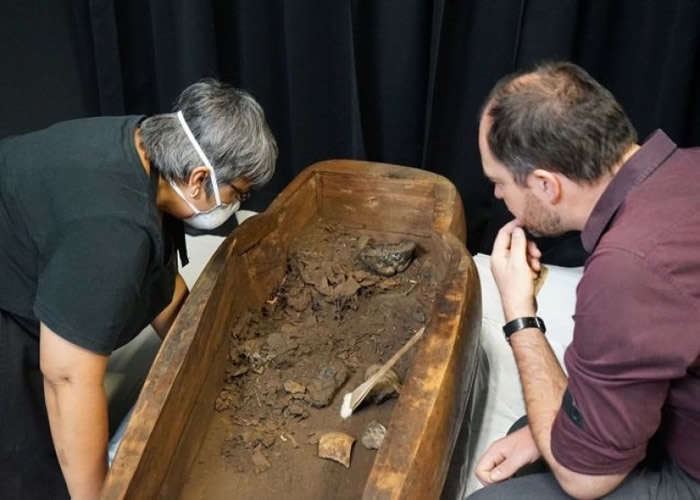 考古人员发现棺材里有木乃伊残骸。