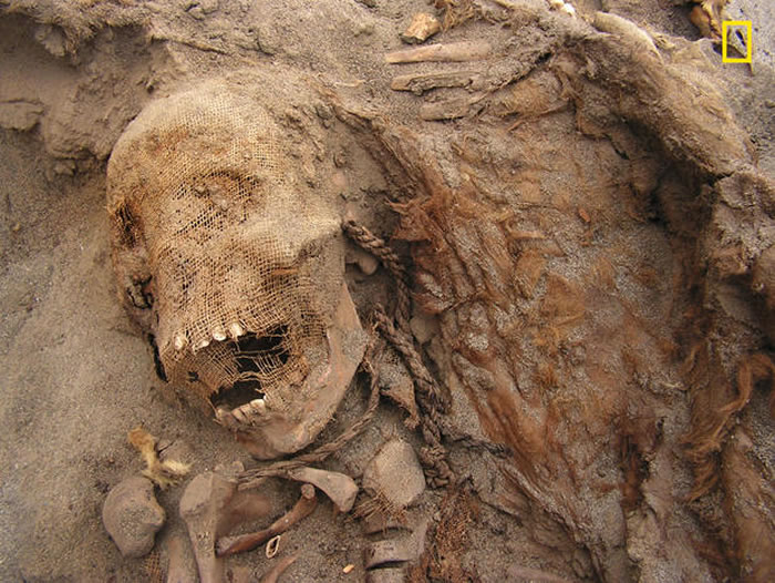 考古学家在秘鲁发现可能是历史上最大大规模的儿童献祭证据