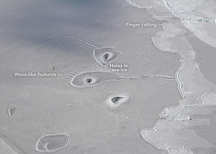 NASA“冰桥行动”在北冰洋发现神秘圆形冰洞 或是海豹浮面呼吸造成