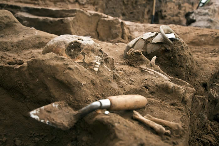 英国约克市饭店改建发现75具罗马时代人类遗骸