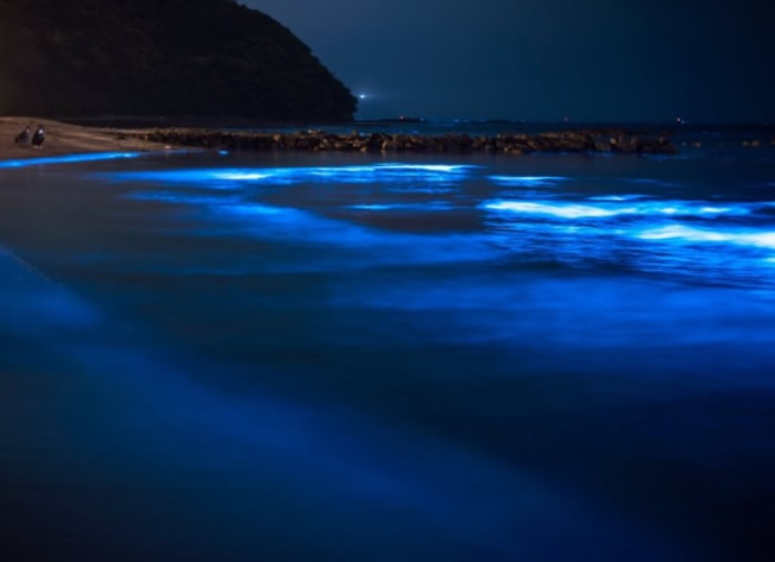 鸟取县岩美町海边出现动人的蓝光。
