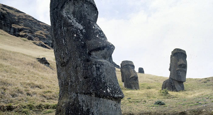 复活节岛上“摩艾石像”建造的秘密被揭开
