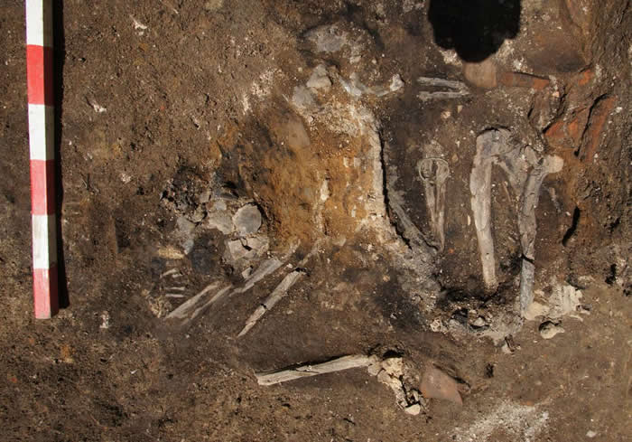 学者在公元251年的古地层中发现一名成年女性的骨骸。它手上依然戴着一只青铜手镯。 PHOTOGRAPH COURTESY ELENA BOZHINOVA, PL