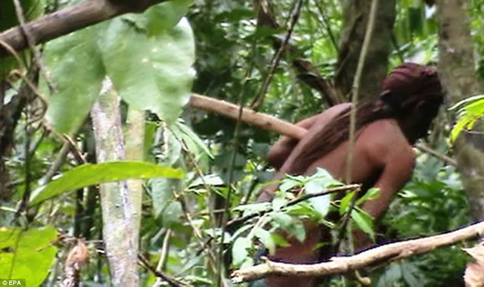 巴西亚马逊森林部族20年前险被灭族 最后1名男土著被拍到在砍树