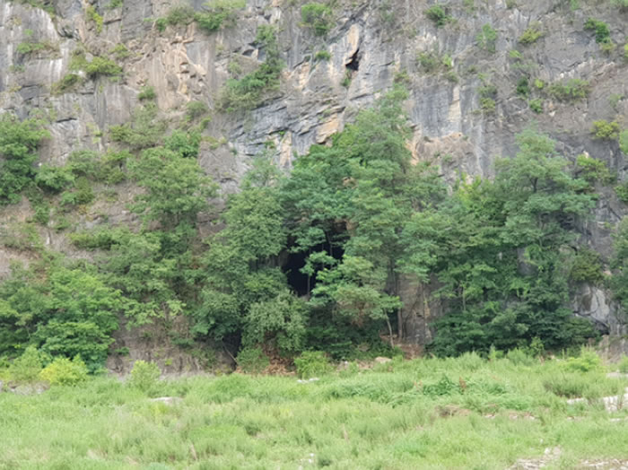 韩国江原道旌善郡洞穴发现旧石器时代小石块 还有鱼类脊骨和人类手指骨化石