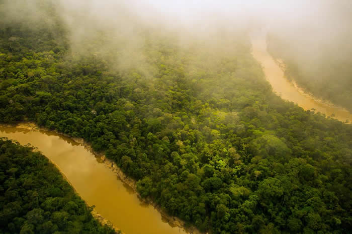 亚马逊雨林（见图）远比我们想像的更复杂，新书《河的第三岸》的作者说道。 PHOTOGRAPH BY REDMOND DURRELL, ALAMY STOCK P