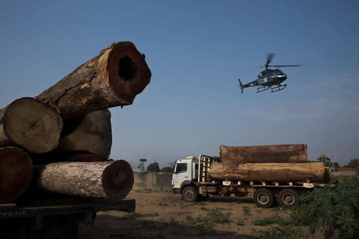 非法盗伐依旧是亚马逊地区的重大威胁。这张照片中，载着盗采雨林树木的卡车，被巴西环境保护单位给拦了下来。 PHOTOGRAPH BY LALO DE ALMEID
