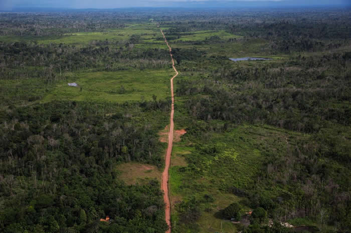 盗伐会造成像这样失去森林的地区，这是从直升机上看到的景象。除了盗伐以外，亚马逊地区还面对了其他许多挑战，从贪腐到贩毒都有。 PHOTOGRAPH BY LALO