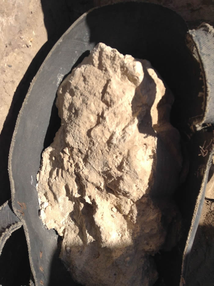 埃及挖出最古老起司 藏有致命的布氏杆菌