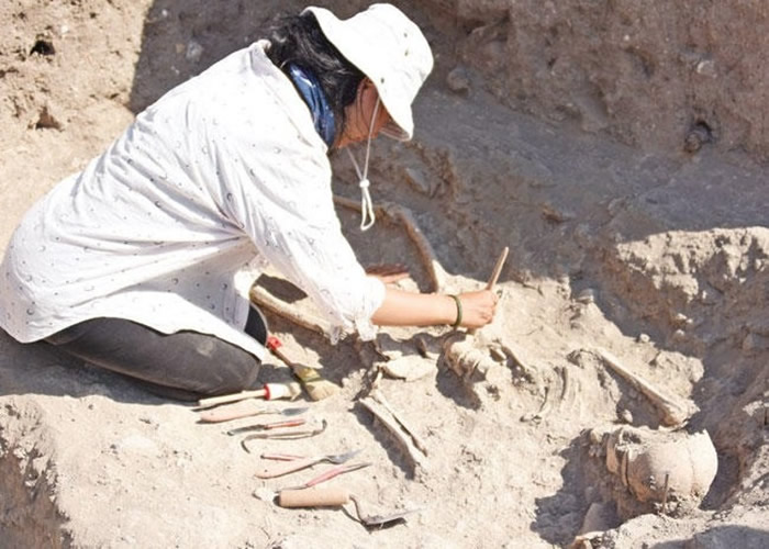 最后的特洛伊人？土耳其西北部传说中的特洛伊古城遗址发掘出骸骨