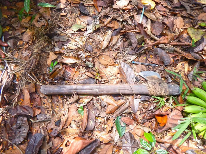 这把斧头是2017年在查瓦利河谷原住民保留地内茹塔伊河附近弓箭手部落村庄发现的，可能在几年前另一次FUNAI考察时留在这里。 COURTESY ACERVO/F