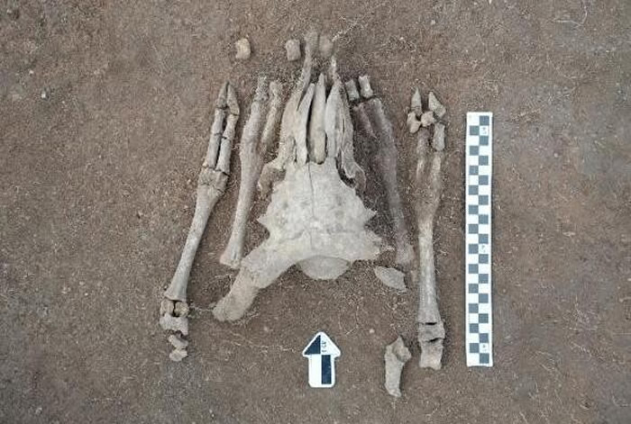 祭祀台中发现羊头骨和羊腿骨摆成的造型，其中羊头指的方向和匈奴墓地一致。