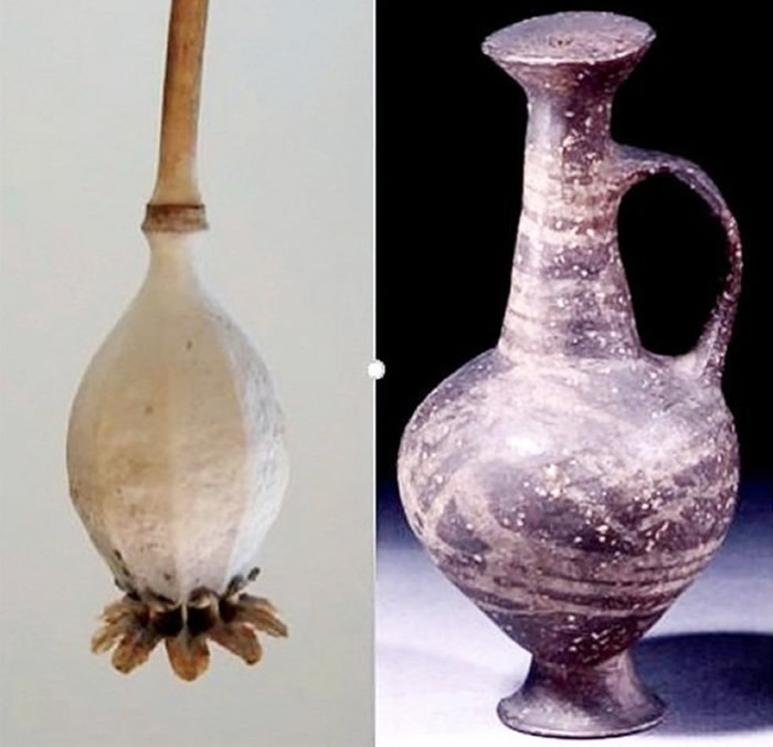 环形底座水瓶（右）外型如鸦片罂粟种子（左）。