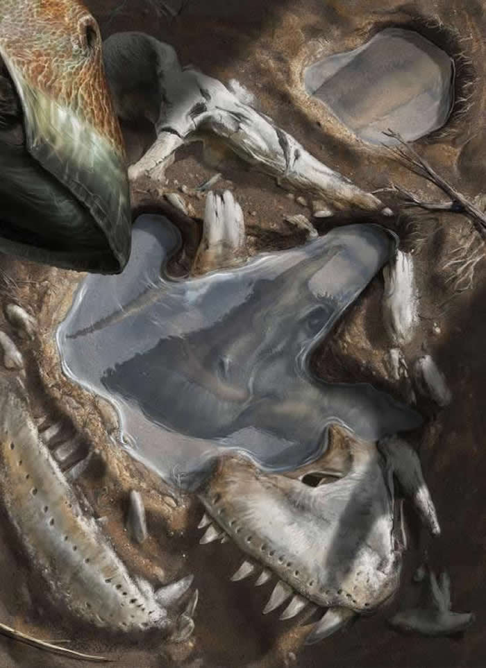一步之遥 - 在这幅惊人且独特的插画中，意大利艺术家大卫．博纳多纳（Davide Bonadonna）描绘7000万年前蒙古自然世界中的一瞬倒影。 「一群窄吻栉