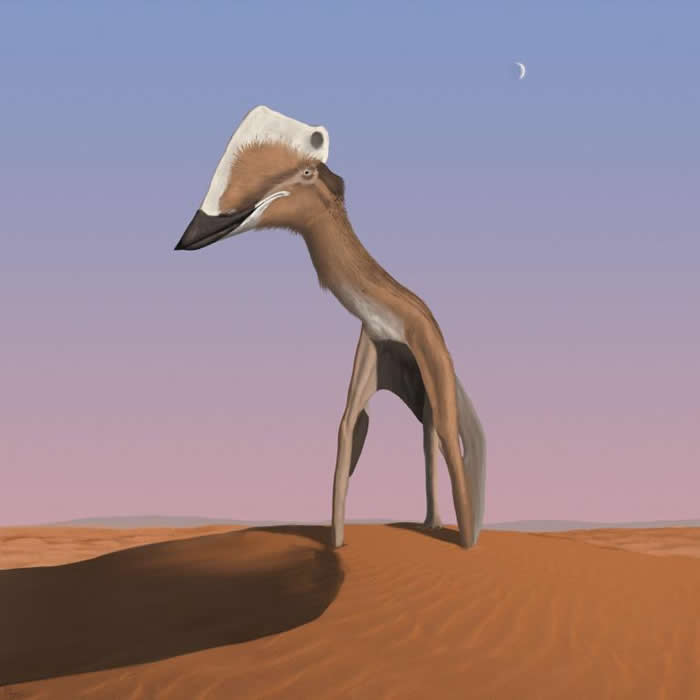 巨人一瞥 - 有些神龙翼龙（azhdarchid pterosaur）体型非常巨大，翼展可譬拟小飞机，站立时身高近似长颈鹿。在这幅美国插画家米迪奥．迪奥罗（Mi
