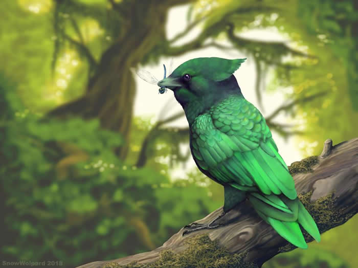 鹏鸟的点心 - 大约1.2亿年前，和鸽子差不多大小的侯氏鹏鸟（Pengornis houi）生活在中国。它是鸟类的原始支系，反鸟类（enantiornithin