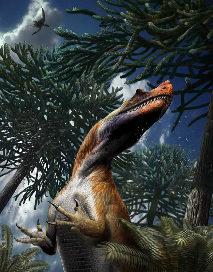 意大利阿尔卑斯山发现已知最古老掠食性恐龙化石——角鼻龙Saltriovenator zanellai