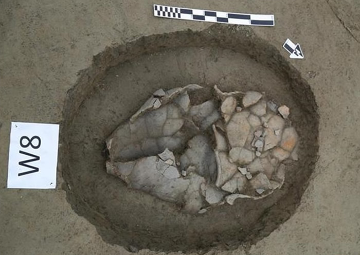 考古人员推断本次出土的瓮棺葬以婴幼儿为主。