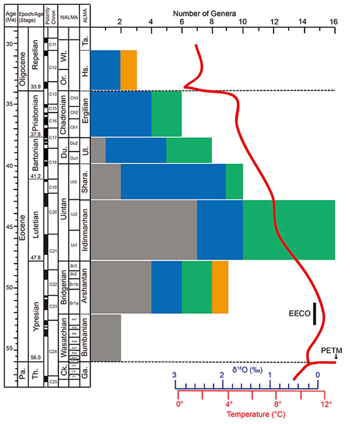 图3：内蒙古二连盆地早始新世至早渐新世奇蹄类多样性的变化和全球温度变化曲线的对应关系，以及始新世亚洲哺乳动物分期和北美哺乳动物分期的对比。灰色、蓝色、绿色和桔色