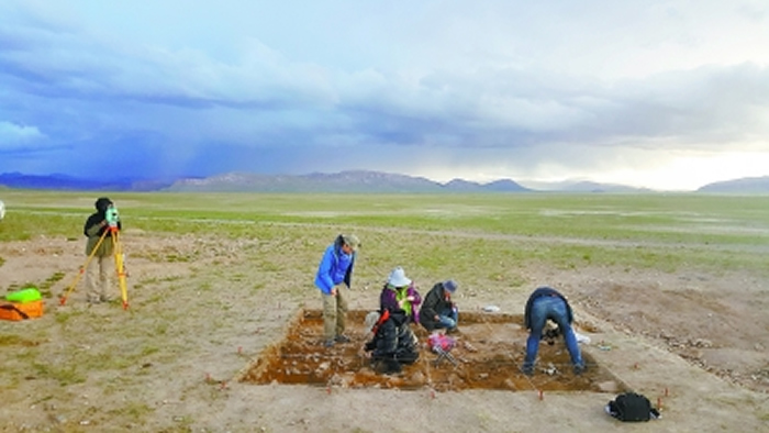团队成员在尼阿底遗址进行考古发掘