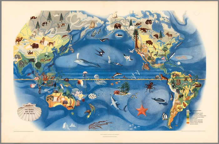 新书《地图上都有》（All over the Map）搜录了各式各样的地图，包括这张展示太平洋地区各种动植物的地图。 这张地图是由米格尔． 珂佛罗皮斯（Migu
