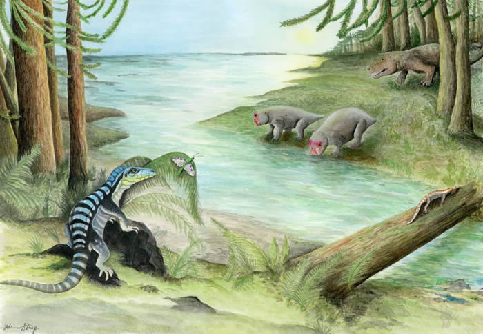 新发现的恐龙亲属“南极国王”Antarctanax shackletoni2.5亿年前在南极洲漫游 以捕食昆虫为生