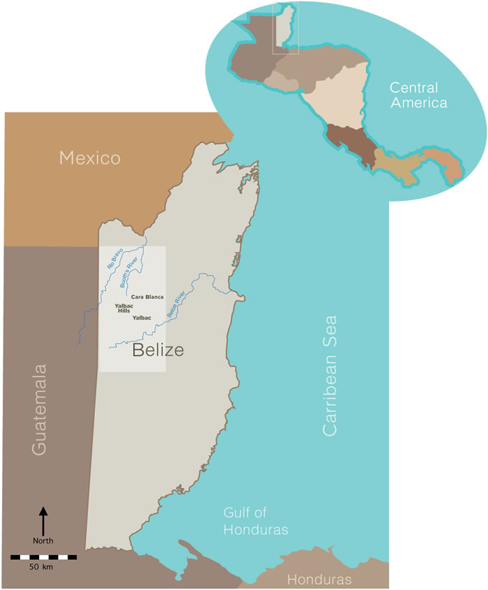 伯利兹中部cara blanca地区的位置。