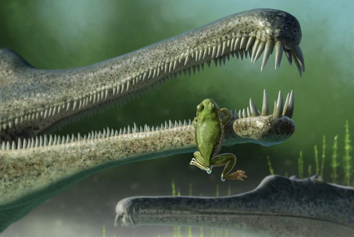 美国亚利桑那州发现2.16亿年小青蛙遗骸“靑利” 以三叠纪大陆的靑利地质构造命名