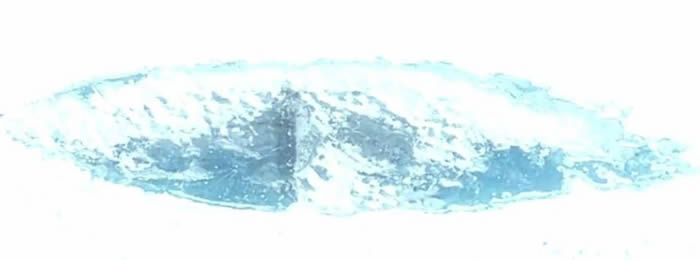 MrMBB333宣称用Google Earth发现南极冰帽下的纳粹潜艇