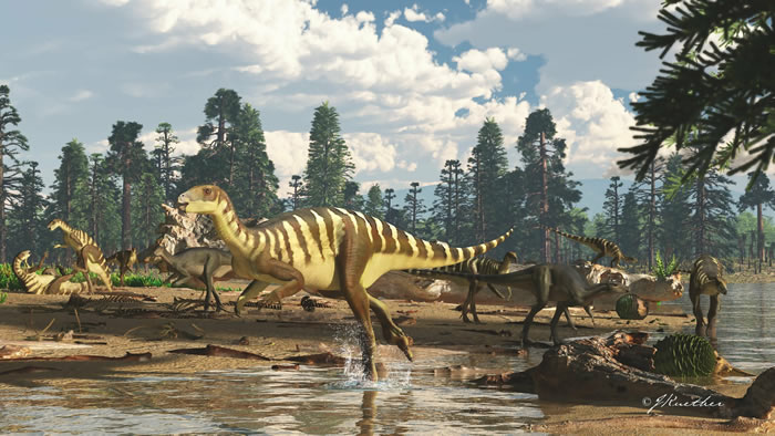 澳大利亚维多利亚州发现一种体型与袋鼠差不多的白垩纪“小恐龙”Galleonosaurus