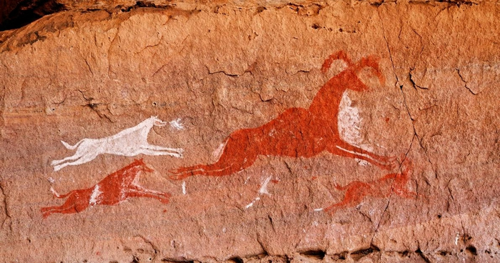 在利比亚阿卡库斯山（Acacus Mountains）里的岩画上，一群行动敏捷的狗正追赶着一只羚羊。 这幅艺术作品可追溯到1万2000年前。 PHOTOGRAP