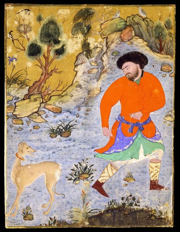 到了中世纪时期，细犬（sighthounds）──比如这幅16世纪波斯细密画（Persian miniature）上所描绘的萨路基猎犬（Saluki），受到亚洲