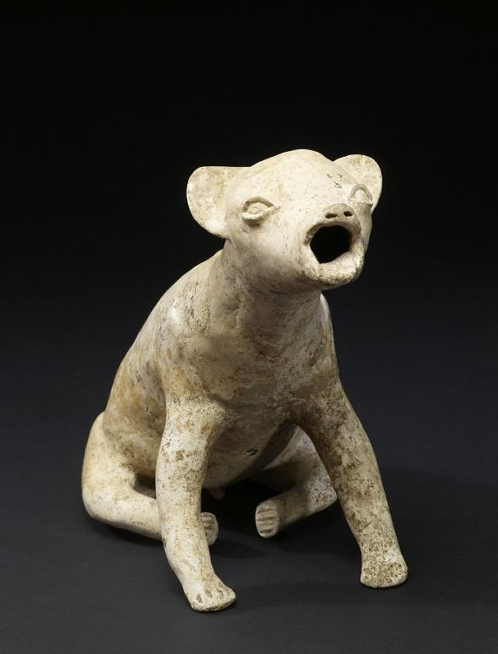 这只有2000年历史的「嗥叫的狗」雕像出土于西墨西哥科利马州（Colima）。 它或许是要呈现前哥伦布时期（Pre-Columbian era）该地区闻名的一种