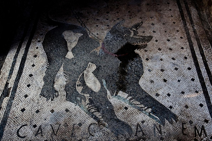 这幅位于庞贝城（Pompeii）一座建筑物入口处的马赛克 上标示着「Cave Canem」──拉丁文「小心恶犬」的意思。 它在公元79年的维苏威火山（Vesuv