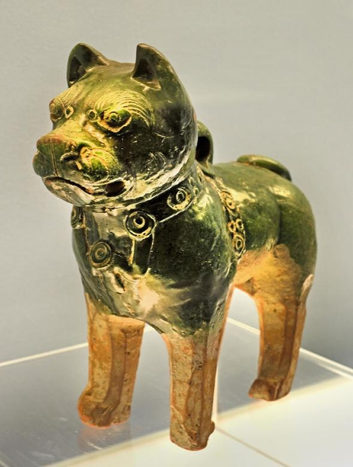 这尊来自东汉（公元25年 -220 年）的釉面陶瓷狗可能代表了一只松狮犬或沙皮狗。 在古代中国，这两个品种都是重要的工作犬。 PHOTOGRAPH BY PET