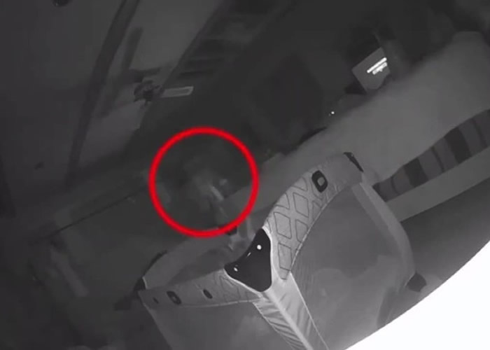 监察录影机拍到一名“男子”（红圈）在婴儿床边徘徊。