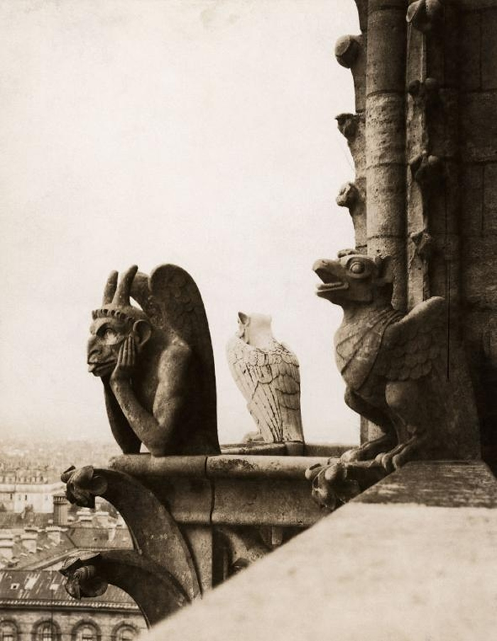 名为「思提吉」（Le Stryge）──也就是「吸血鬼」──的滴水嘴兽，就安坐在圣母院的北塔上面。 这座滴水嘴兽是在1800中叶翻修圣母院时加上去的。 PHOT