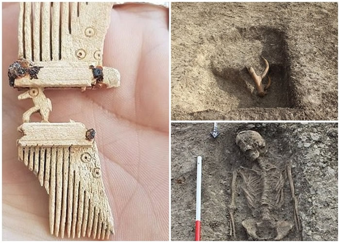 除了人骨以外，还发现动物骸骨、装饰梳子等。