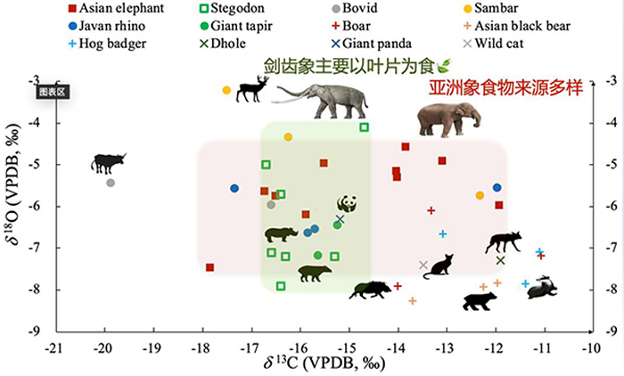 广西扶绥渠仔洞动物群的碳氧同位素数据分布图 （马姣 供图）