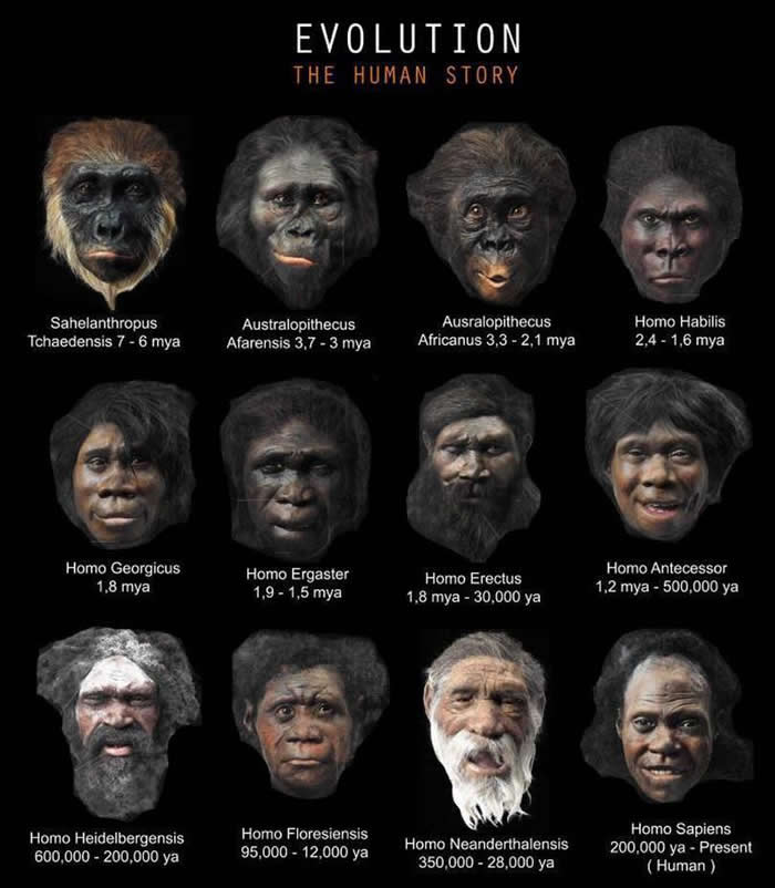 人类面部进化不仅仅出于生物学需要 也是沟通工具