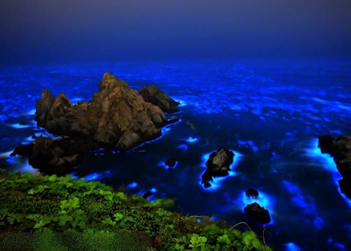 有民众在马祖列岛海边，发现名为“蓝眼泪”的奇景。