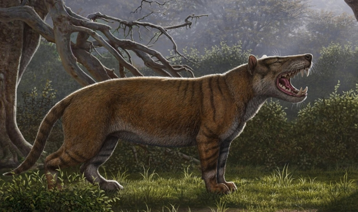 巨狮鬣兽（Simbakubwa kutokaafrika）是一种巨大的肉食动物，属于已灭绝的鬣齿兽（hyaenodont）类群，目前对牠的了解来自肯亚发现的大部