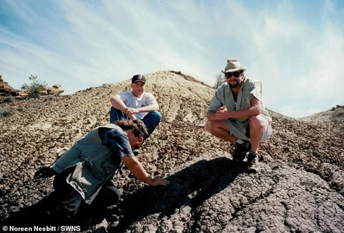 美国新墨西哥州1米高暴龙近亲化石出土 命名为Suskityrannus hazelae